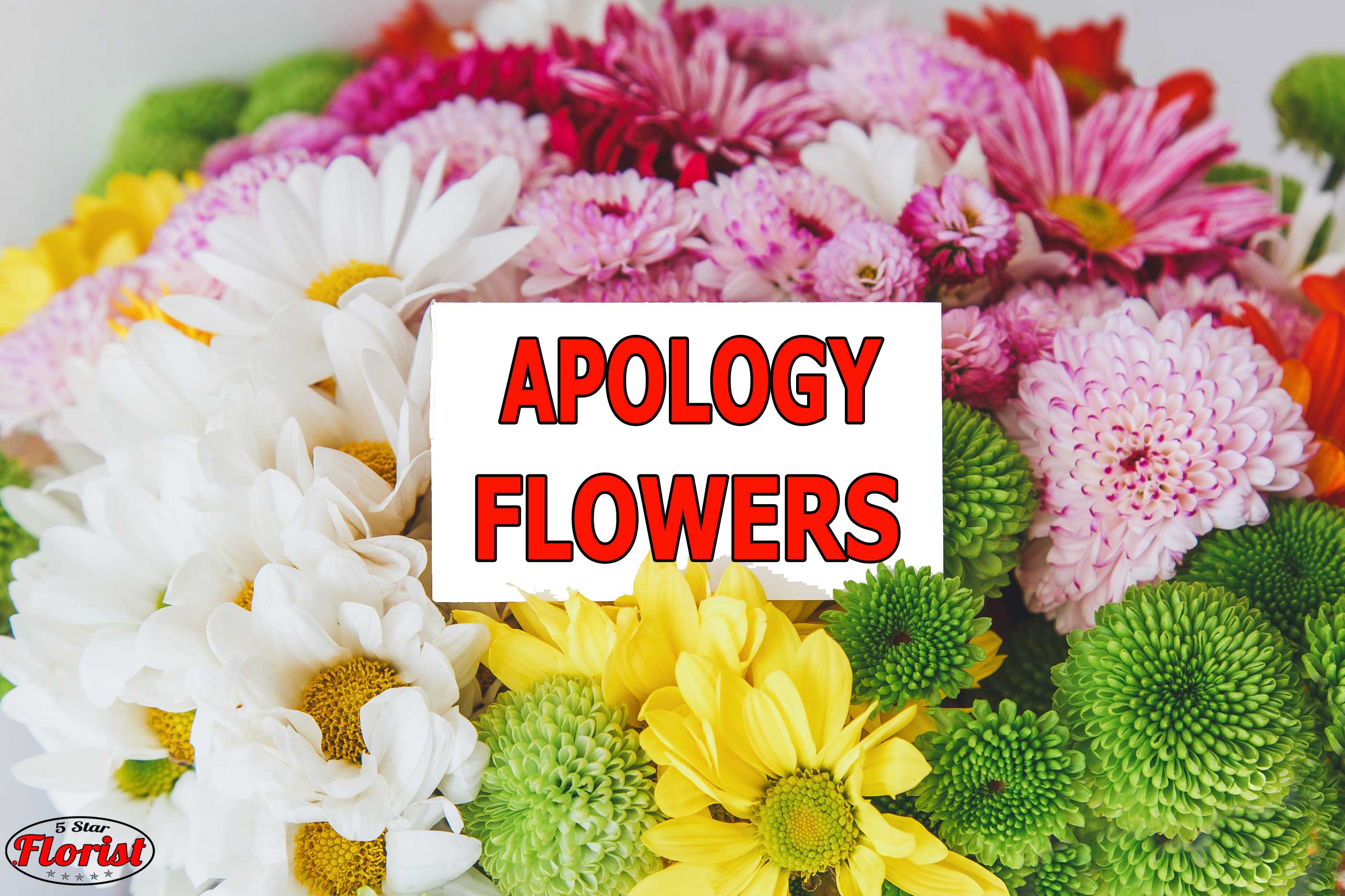 apology flowers Rosemont