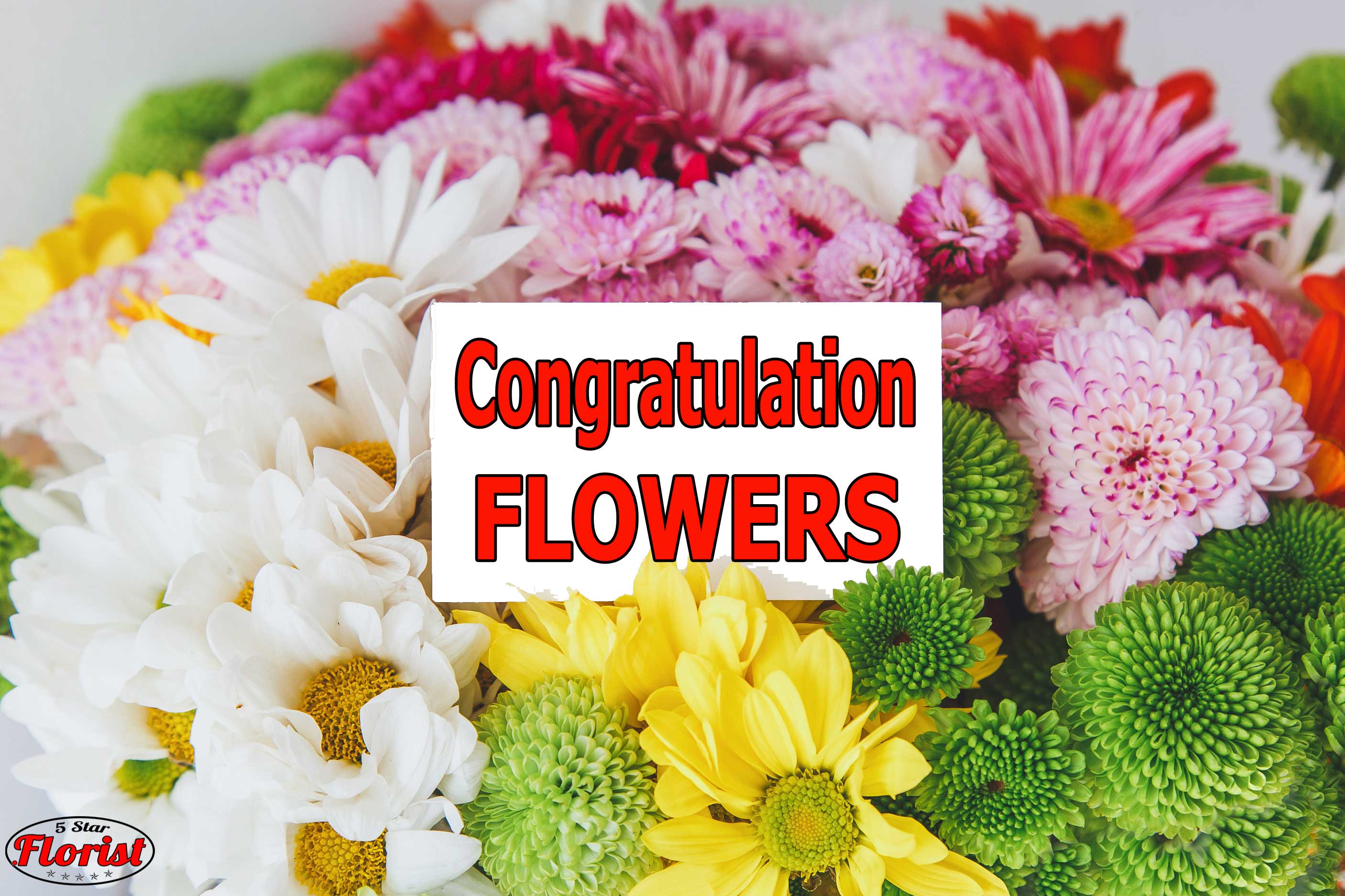 congratulations flowers Rosemont