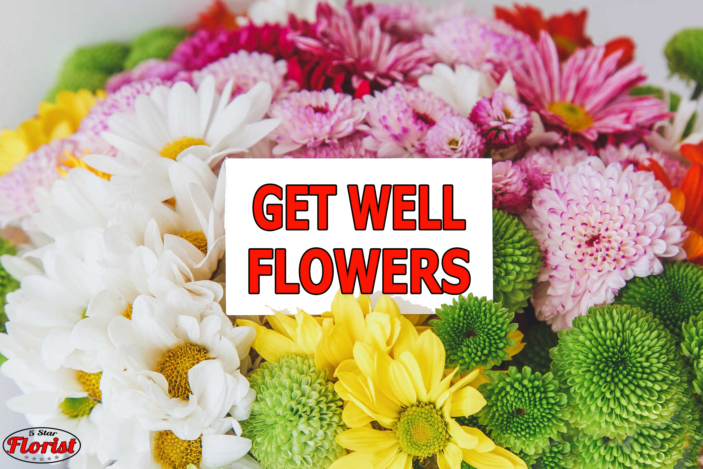 get-well-flowers Rosemont