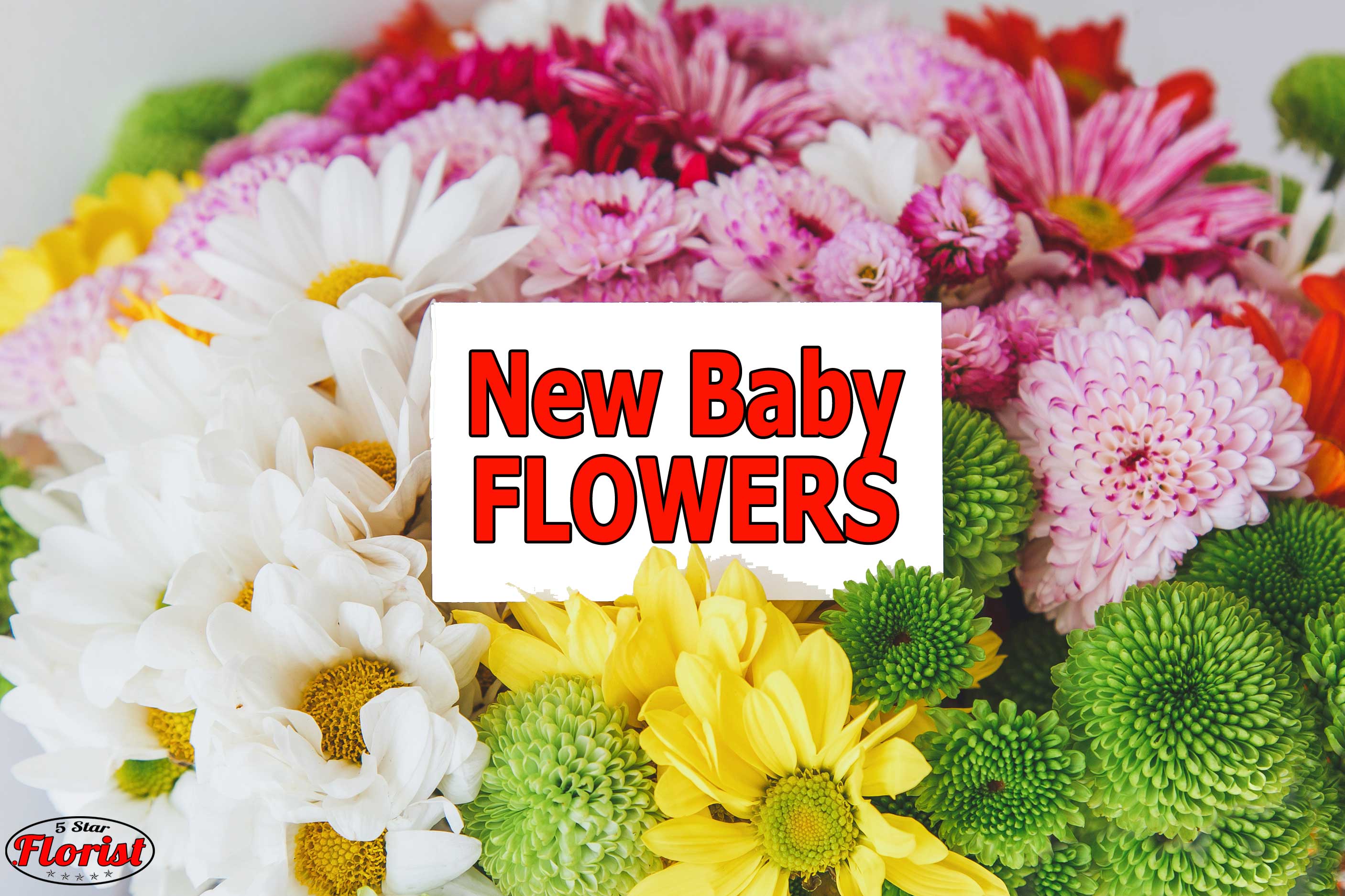 new baby flowers Rosemont