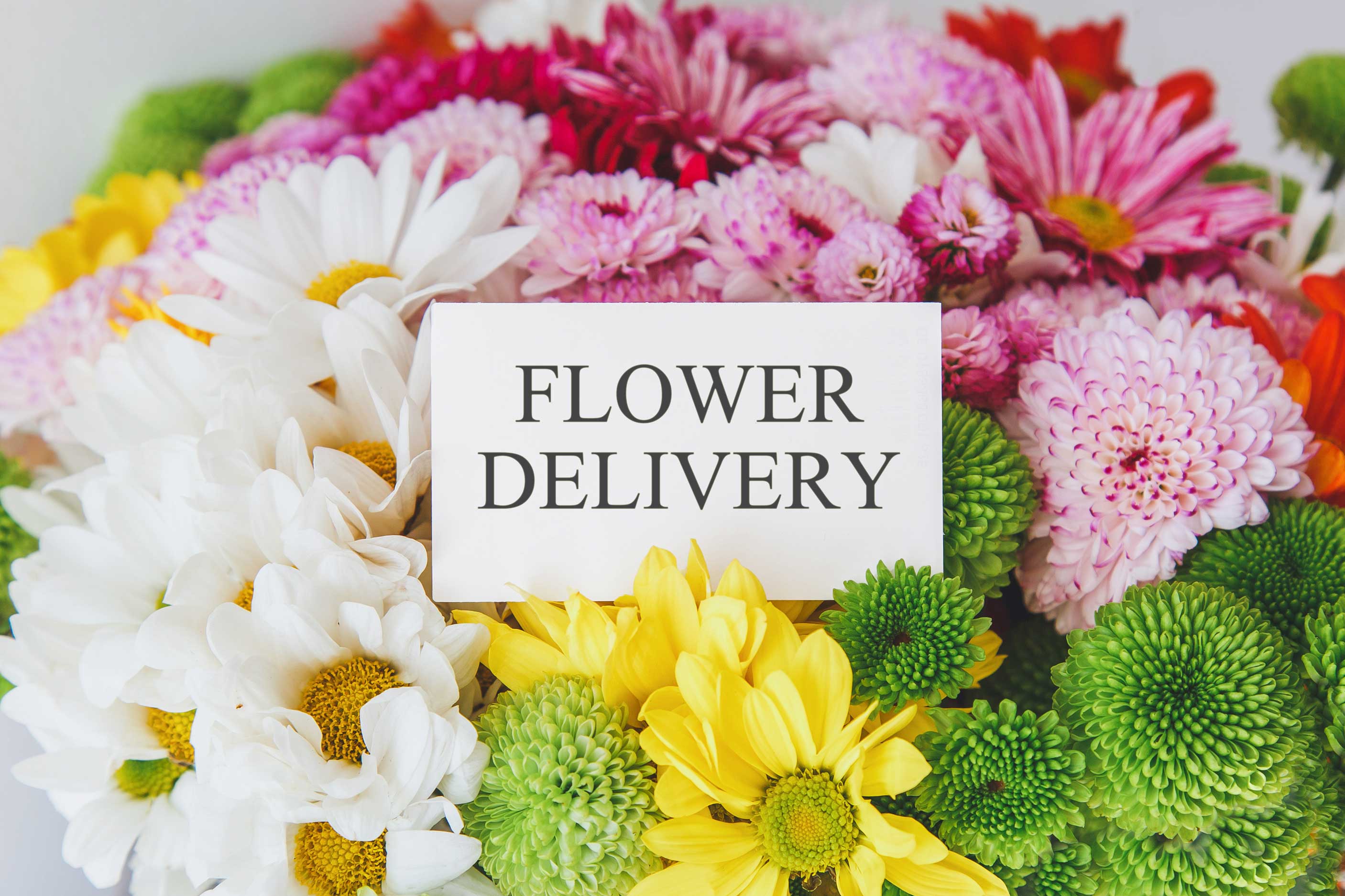 same-day-flower-delivery- Rosemont